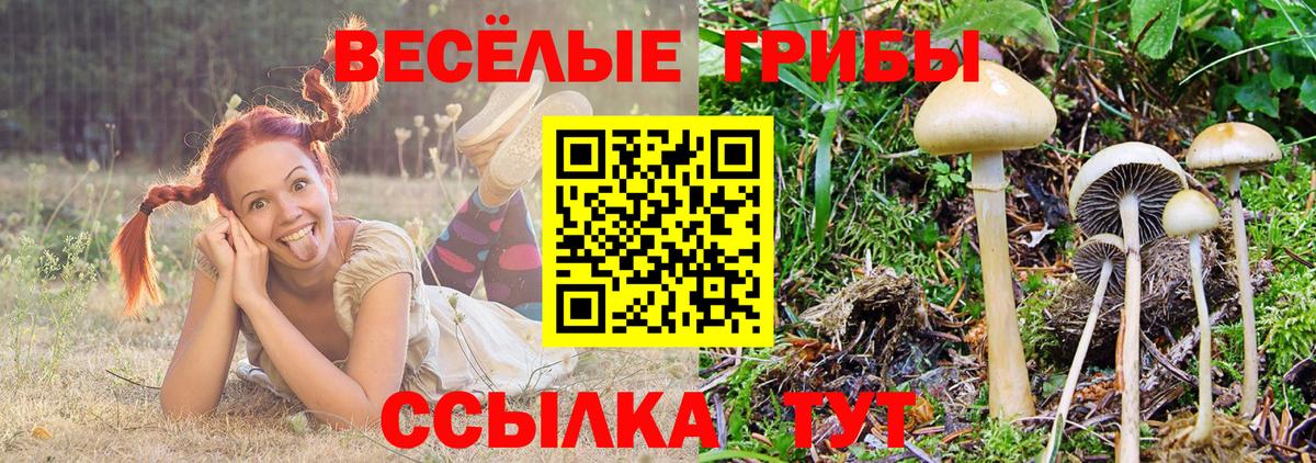 Галлюциногенные грибы мухоморы  Вход с VPN  Галлюциногенные грибы GOLDEN TEACHER  Тимашёвск 