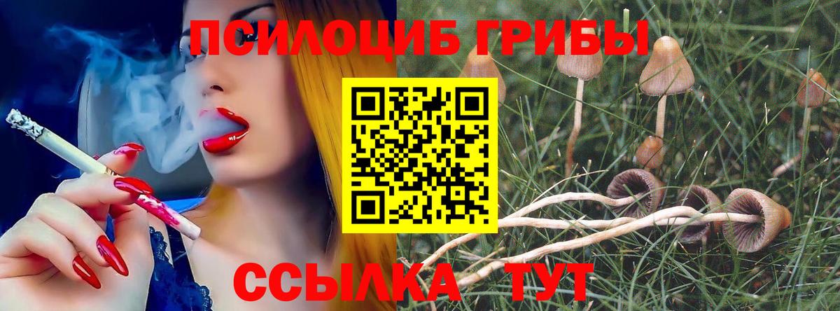 Псилоцибиновые грибы прущие грибы Тимашёвск